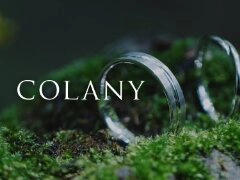 COLANY 50年保証のブライダルリング