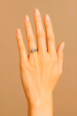 美しい手のポーズ